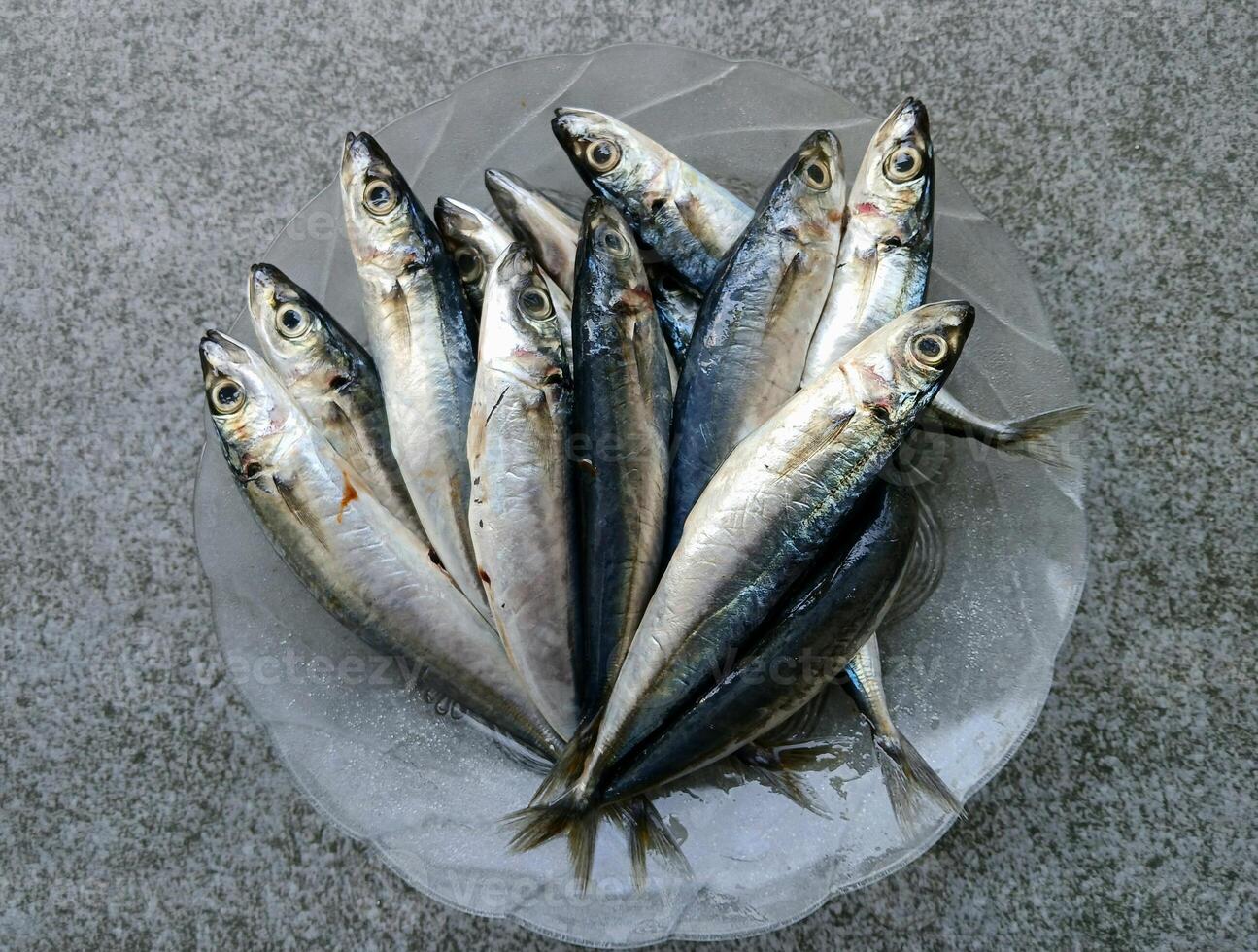 a bowl of fresh sardines on a table photo