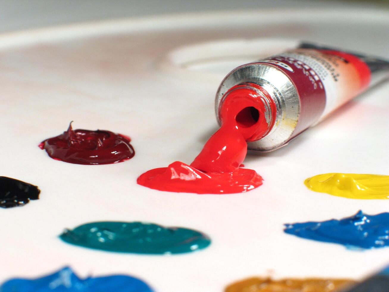 Freshly Squeezed Paint on Palette wallpaper photo