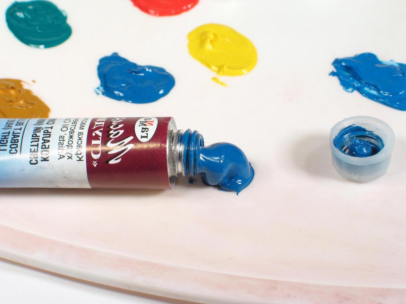 Freshly Squeezed Paint on Palette creative design photo