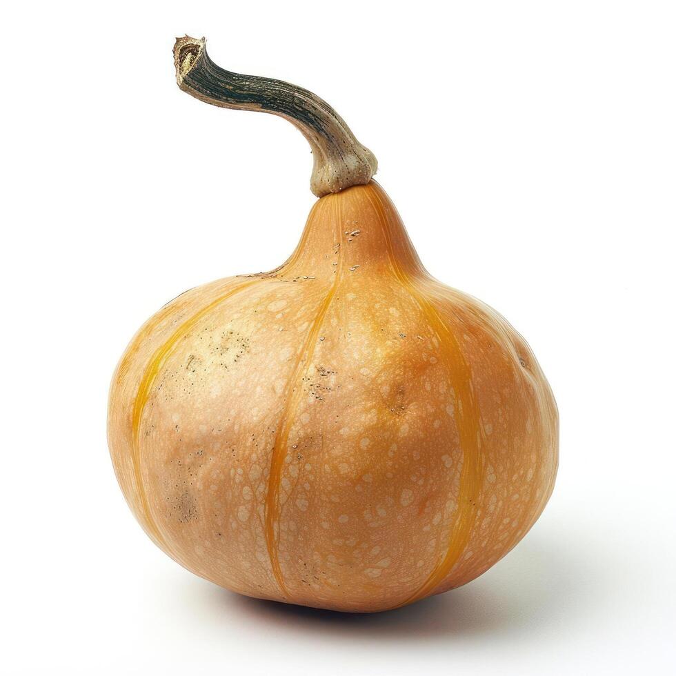 Yellow and orange pumpkin with stem attached. photo
