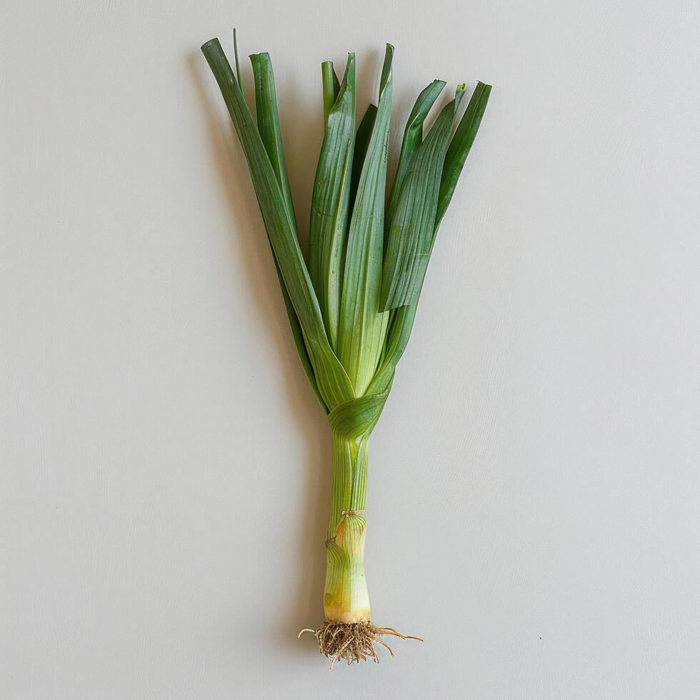 features a bunch of green onions, also known as scallions, hanging in front of a white wall. photo