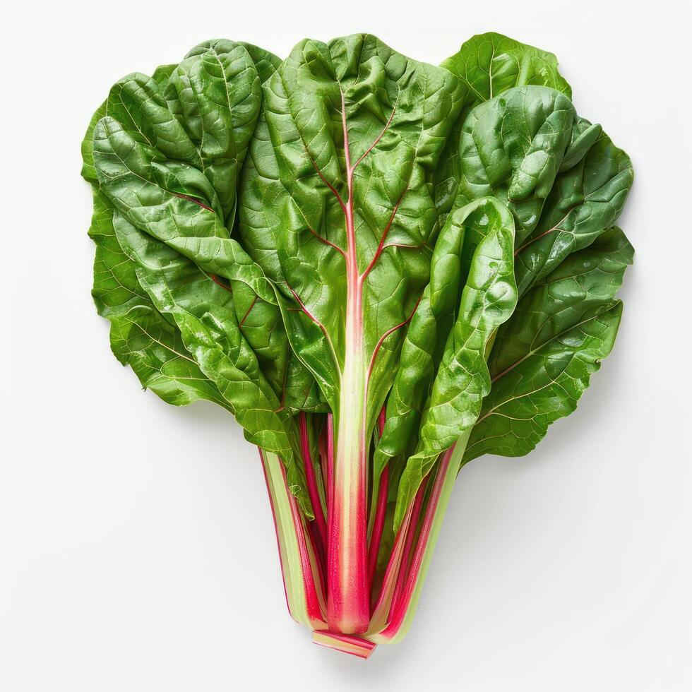 Vibrant red leafy greens with a touch of green, fresh and nutritious. photo