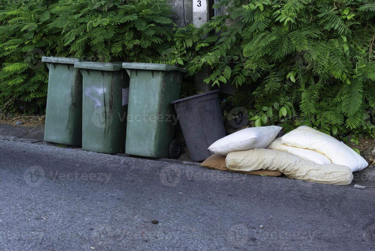 Discarded pillows and trash bins on roadside surrounded by green foliage, evoking sense of neglect photo