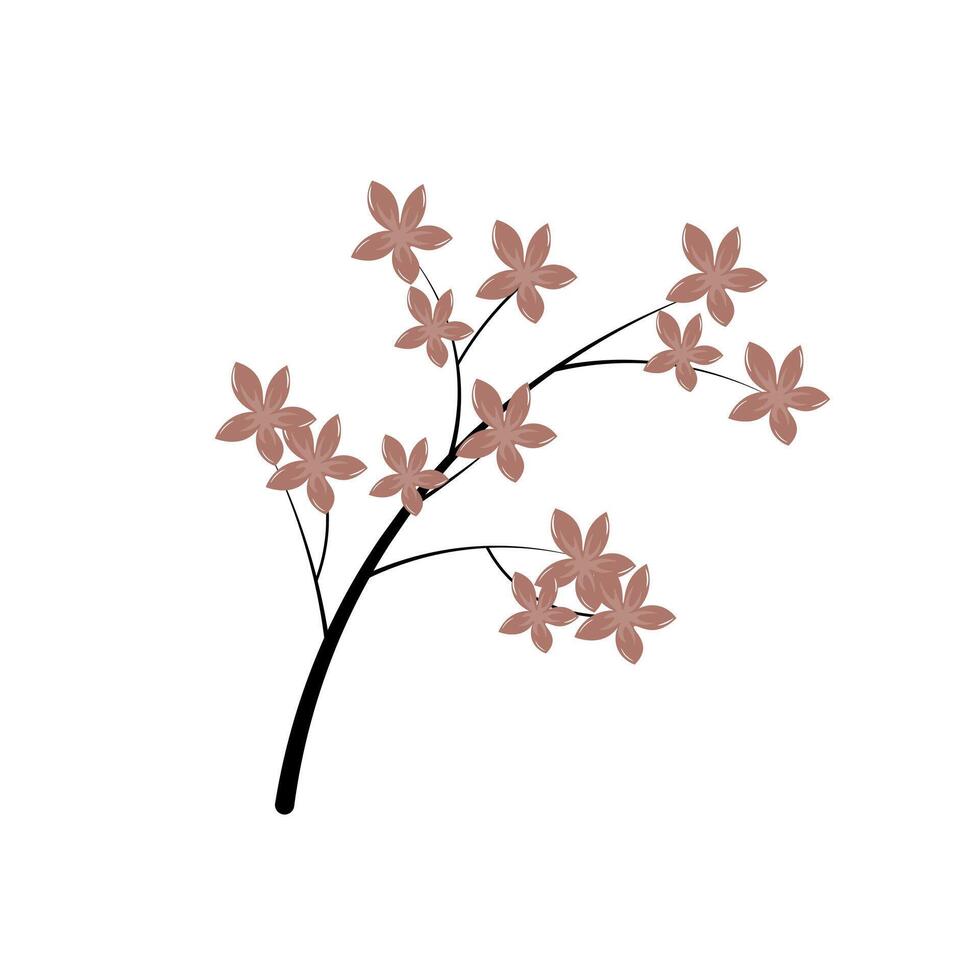 Cherry blossom branch in flat design. Beautiful sakura blooming flowers. illustration isolated. vector