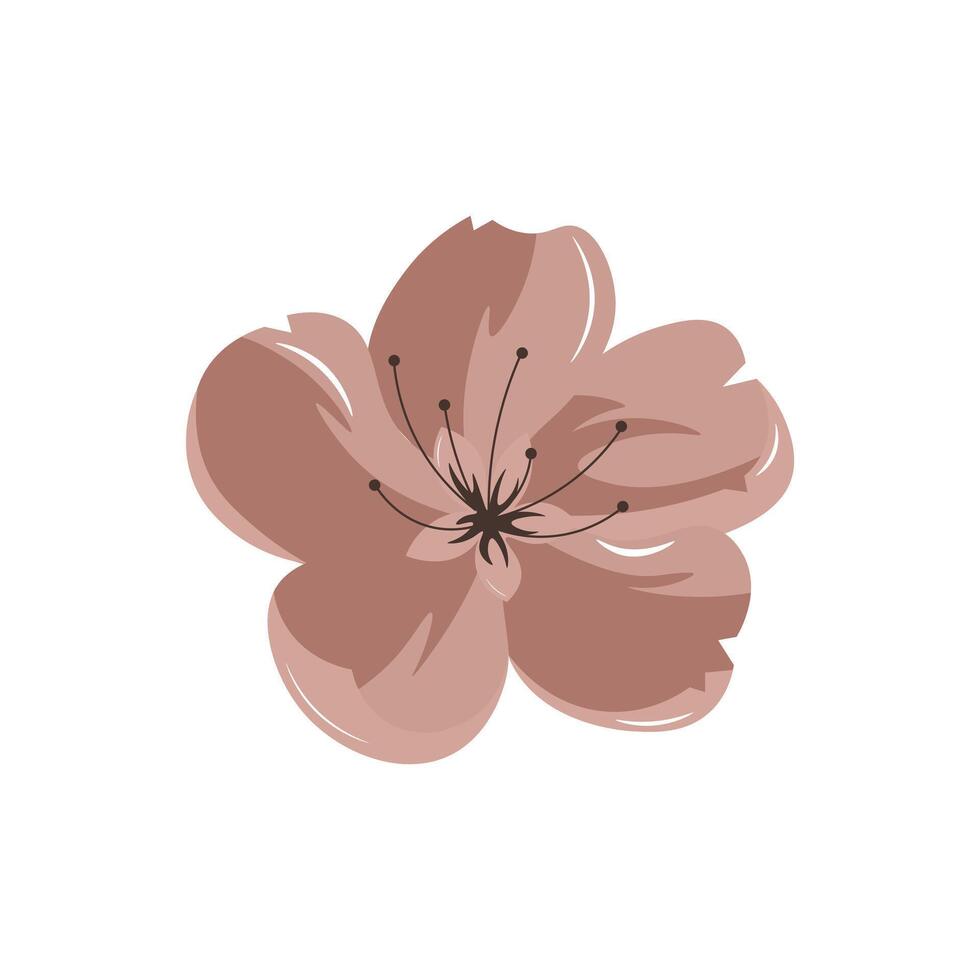 Cherry blossom in flat design. Sakura bloom with pink petals closeup. illustration isolated. vector