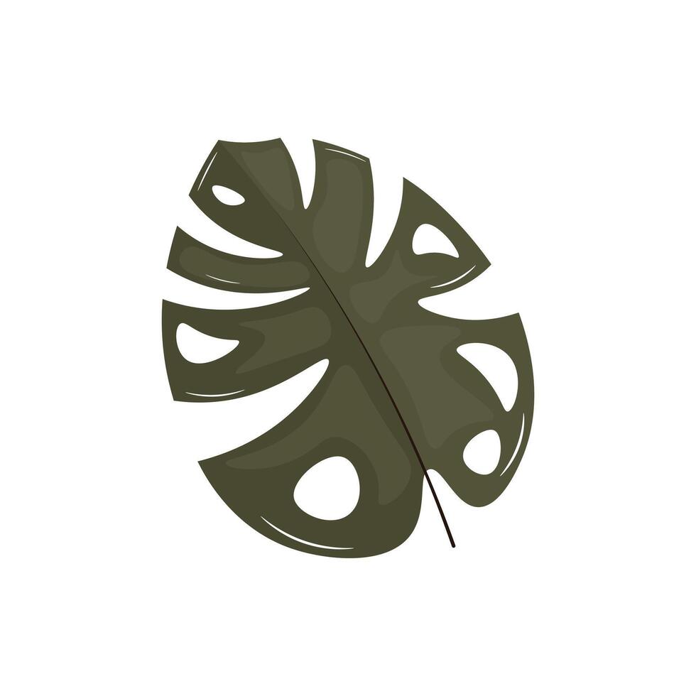 Monstera leaf in flat design. Exotic jungle green foliage silhouette. illustration isolated. vector