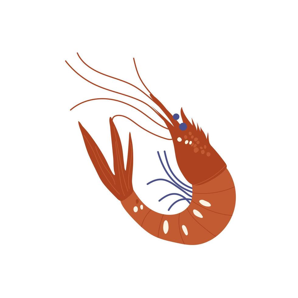 Shrimp in flat design. Fresh seafood, crustacean for restaurant menu. illustration isolated. vector