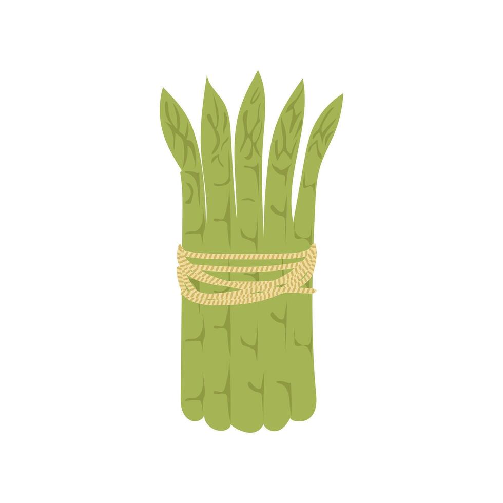 Green asparagus bunch in flat design. Seasoning vegetarian food product. illustration isolated. vector