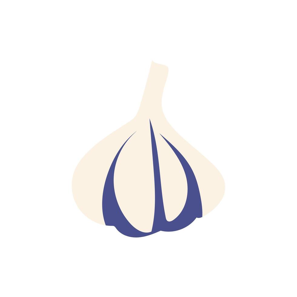 Garlic in flat design. White aromatic bulb for seasoning and condiment. illustration isolated. vector