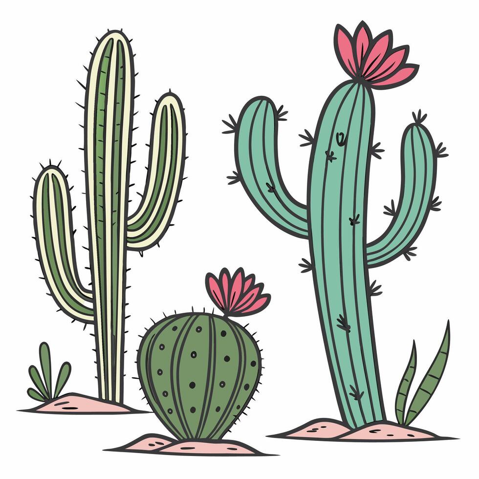 Hand Drawn Cacti Illustration Desert Plants with Pink Flowers Southwestern Design. vector