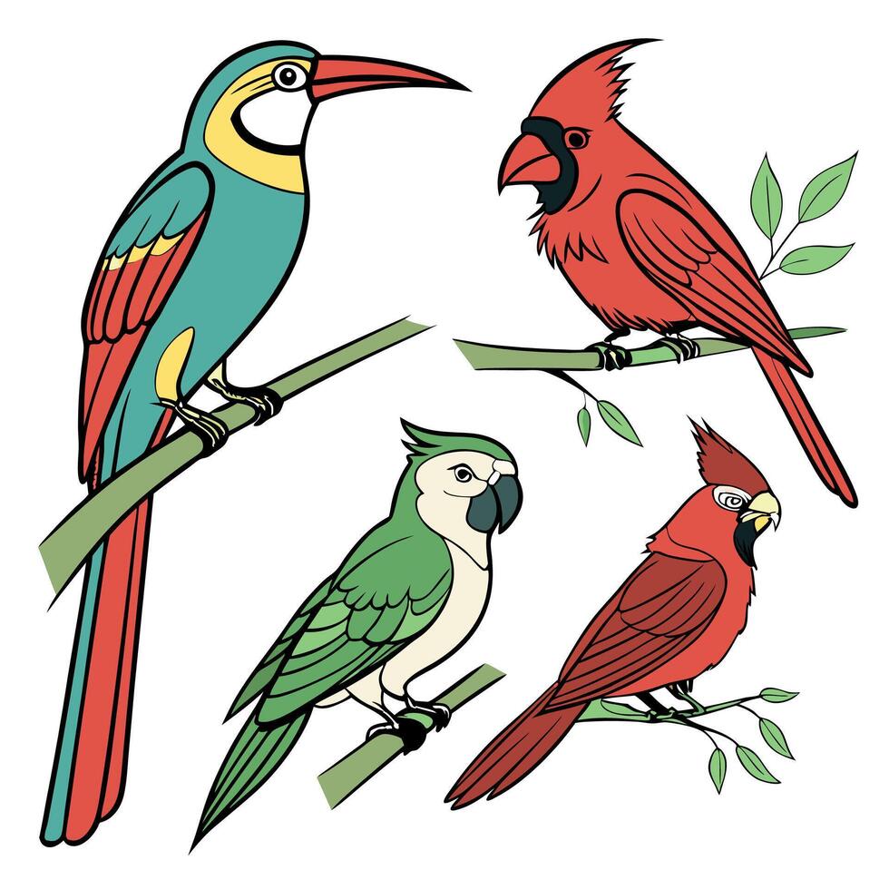 Tropical Birds Illustration Toucan, Parrot. vector