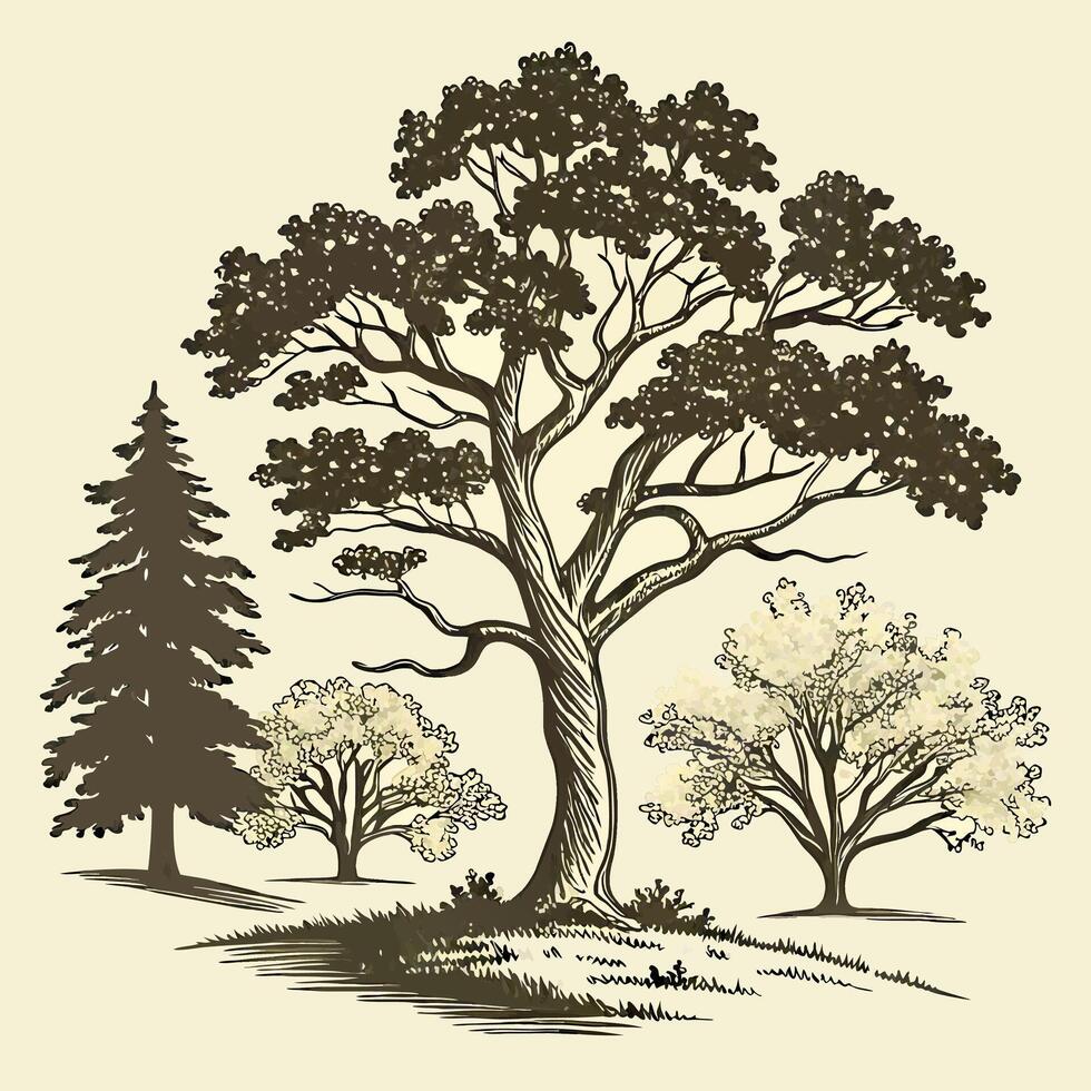 Hand Drawn Tree Illustration Majestic Oak, Flowering Trees. vector