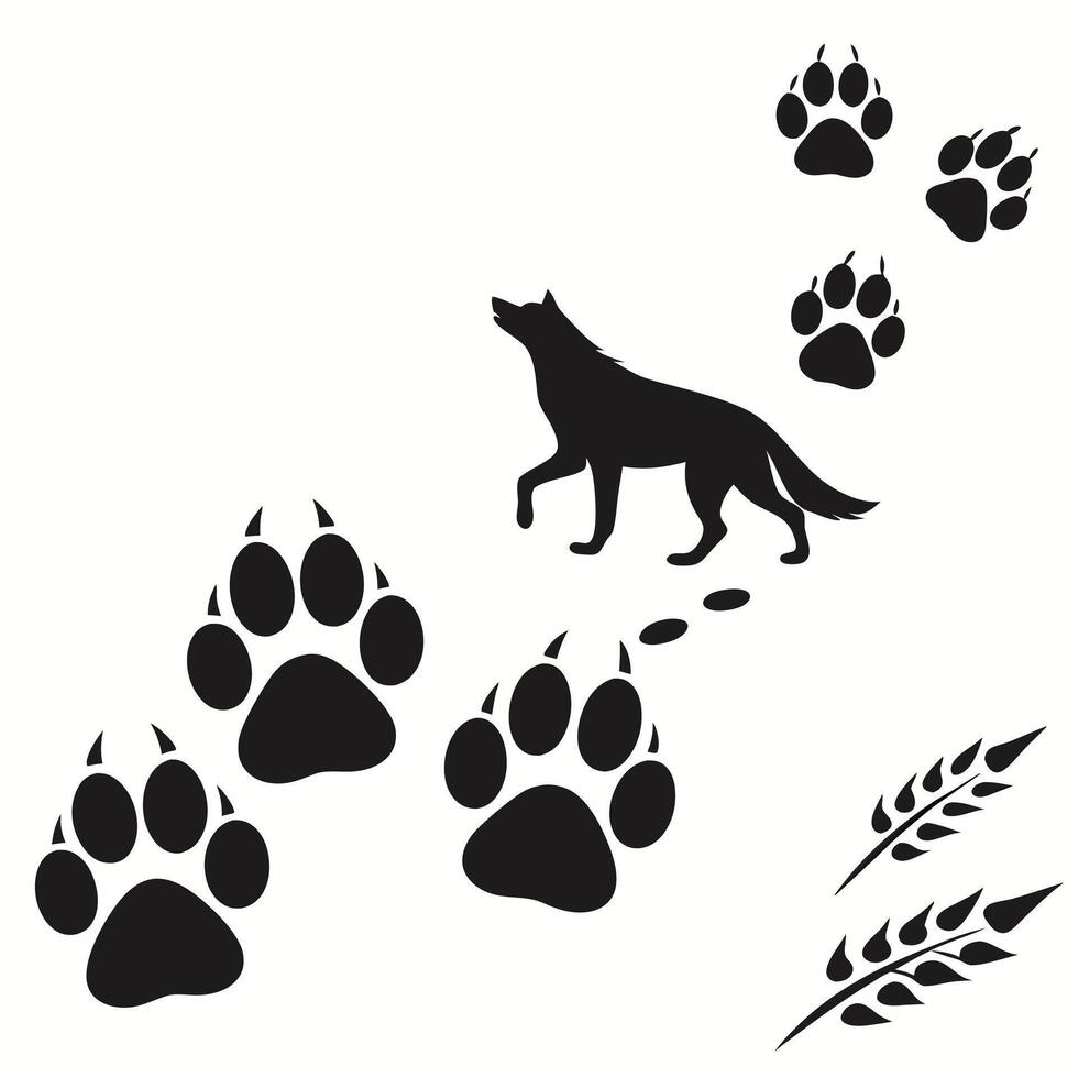 Wolf Paw Prints Wheat Stalks Silhouette Black White Graphic. vector