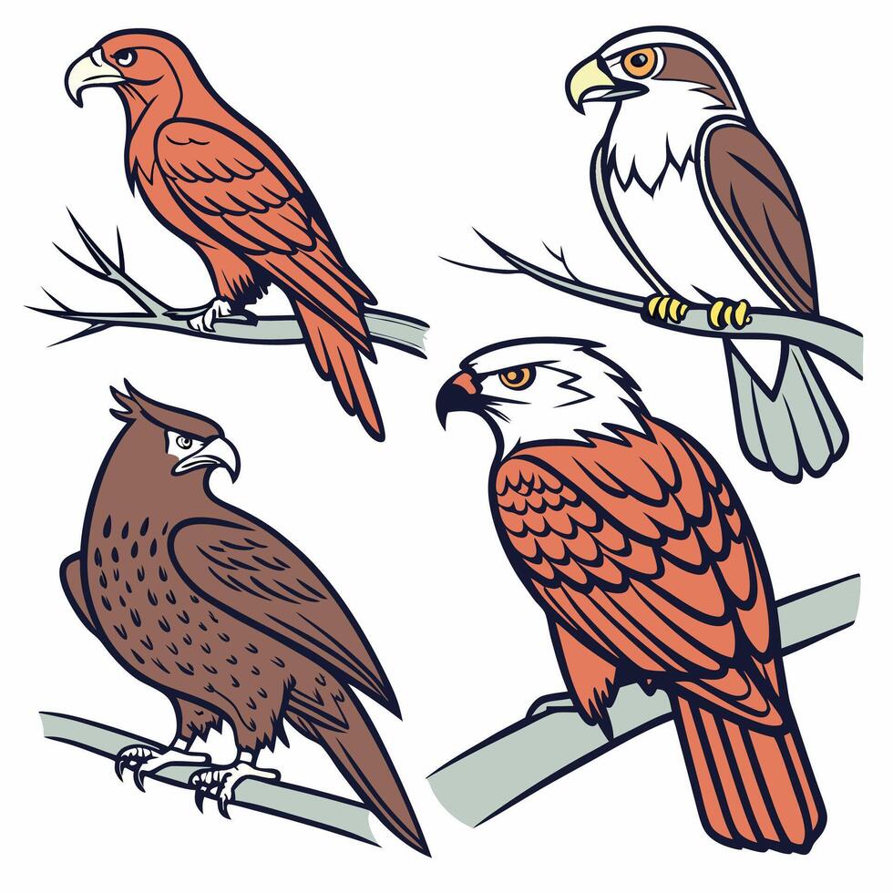 Professional Wildlife Bird Illustration Four Eagles and Hawks Graphic. vector