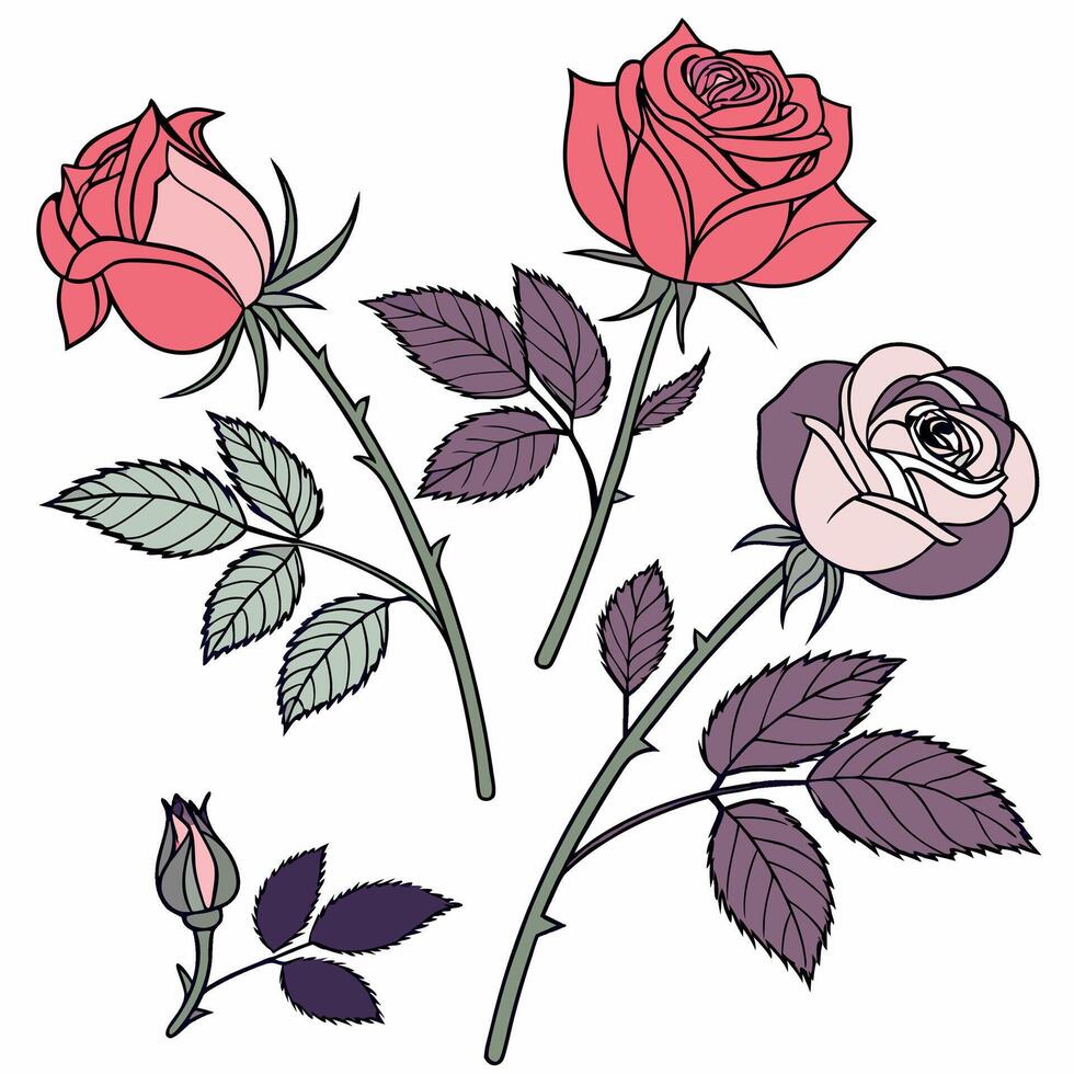 Professional Line Art Roses Pink, Red. vector