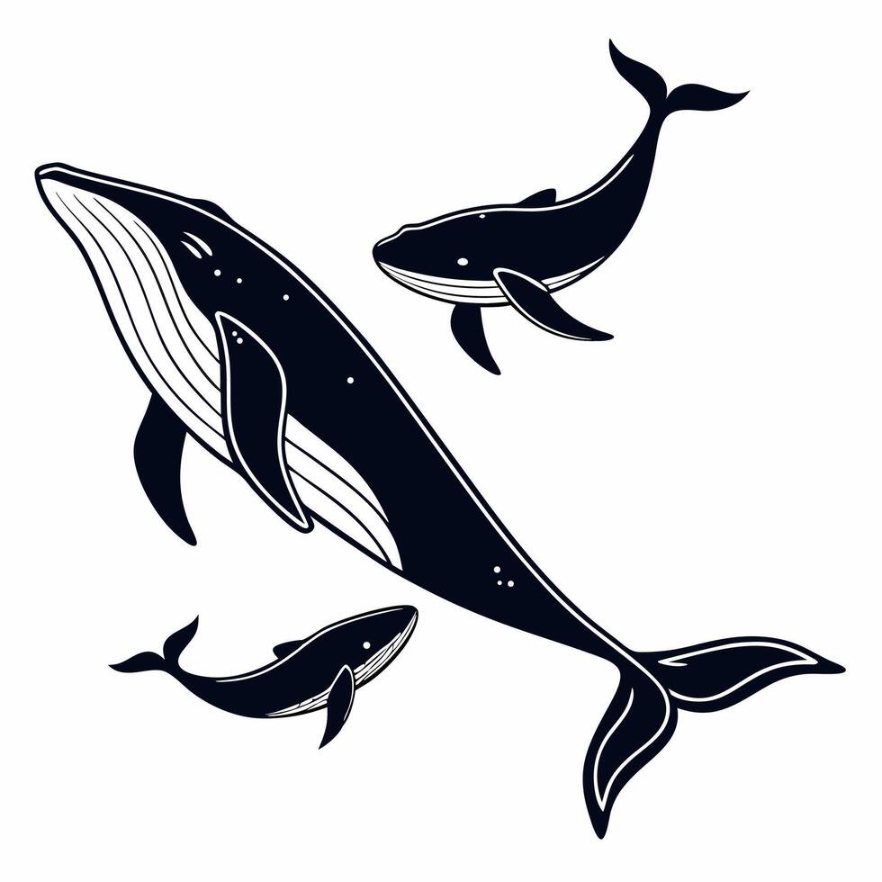 Whale Family Illustration Monochrome Ocean Wildlife Art . vector
