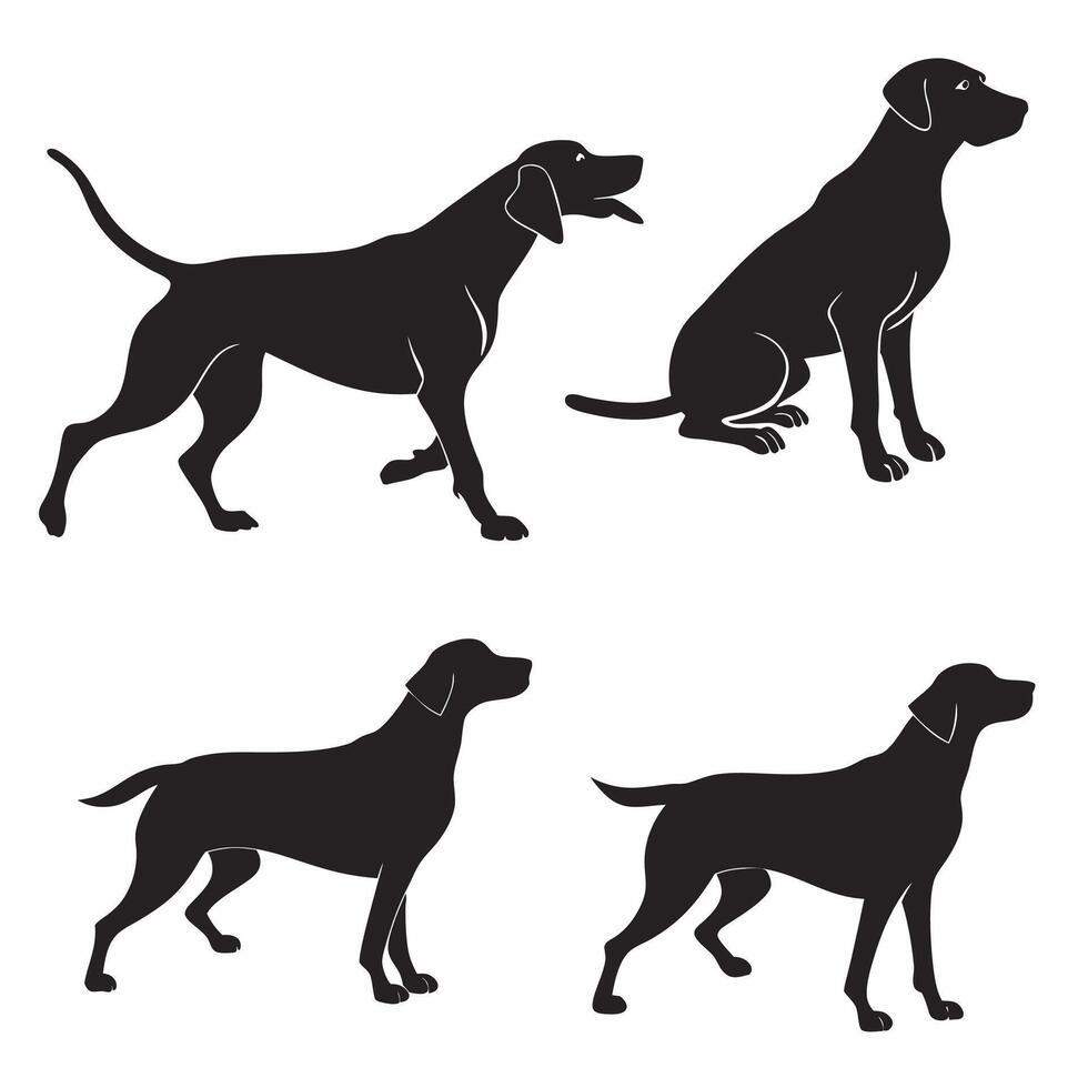 German Shorthaired Pointer Silhouettes 4 Poses. vector