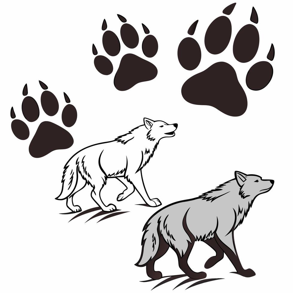 Wolves Paw Prints Illustration Gray and White Canids. vector