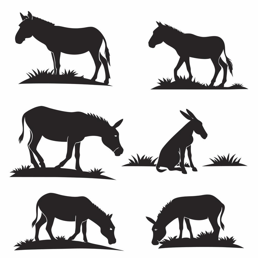 Donkeys Silhouettes 6 Poses, Black Illustrations. vector