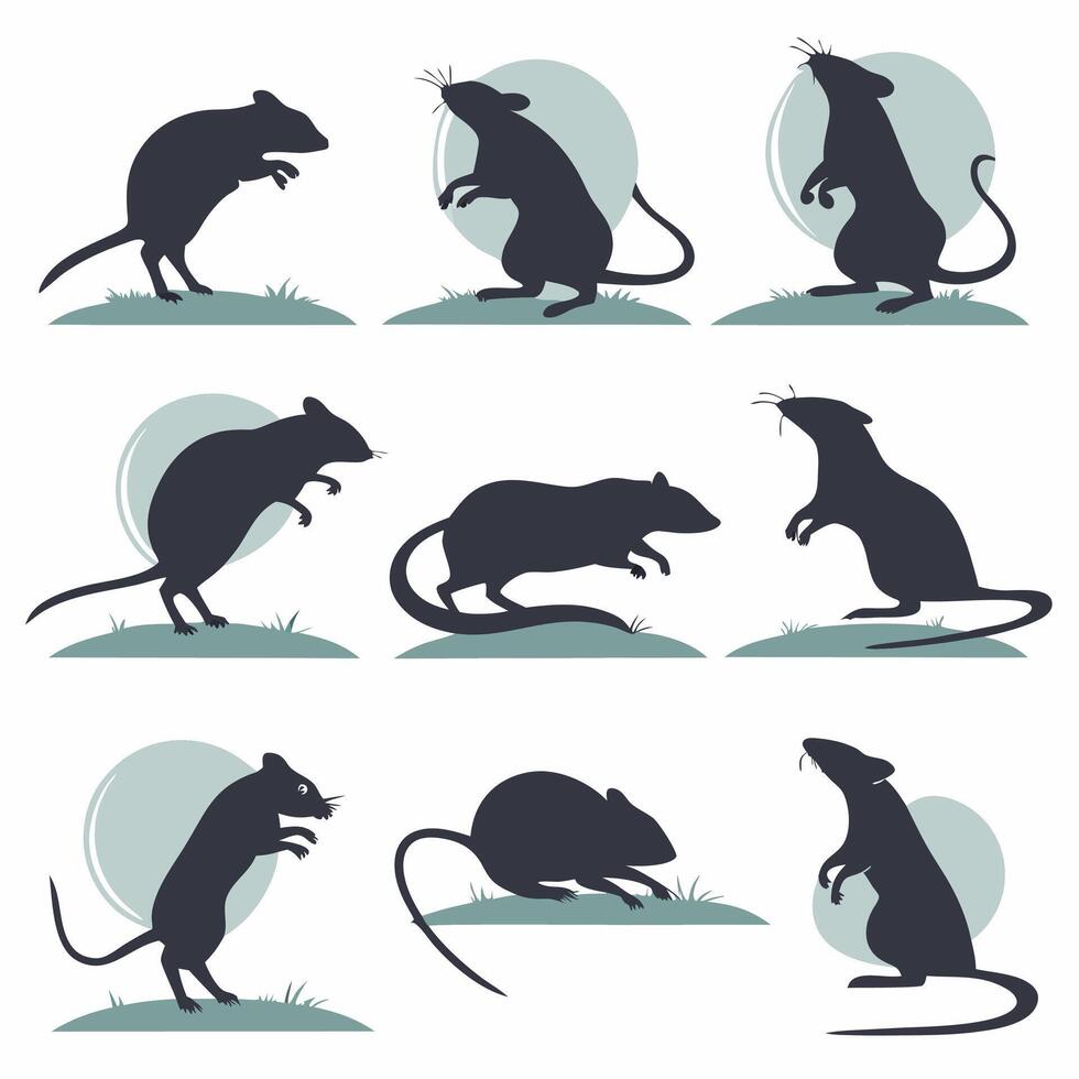 Mice Silhouettes 9 Poses, Black and White, Illustration. vector