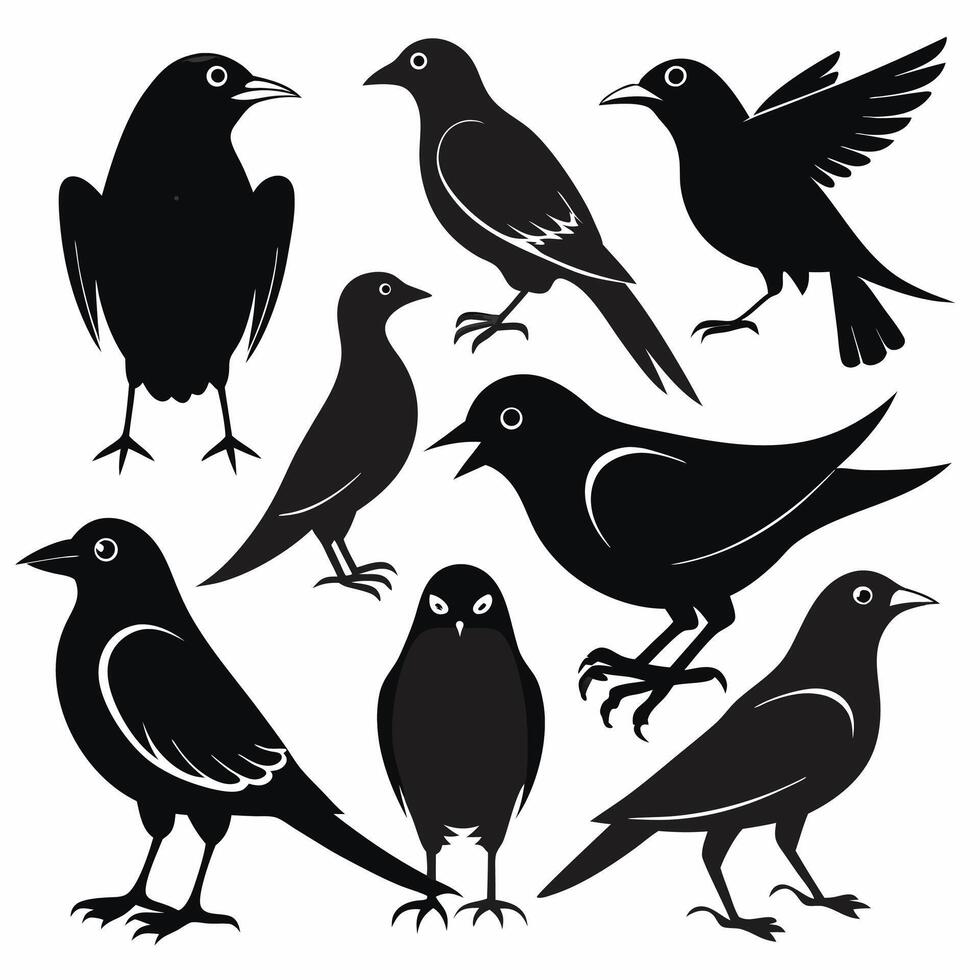 Professional Black Bird Silhouettes 8 Unique Designs. vector