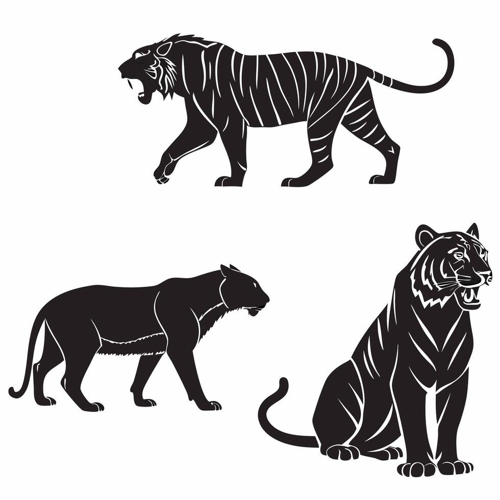 Professional Tiger Silhouettes Walking, Stalking. vector