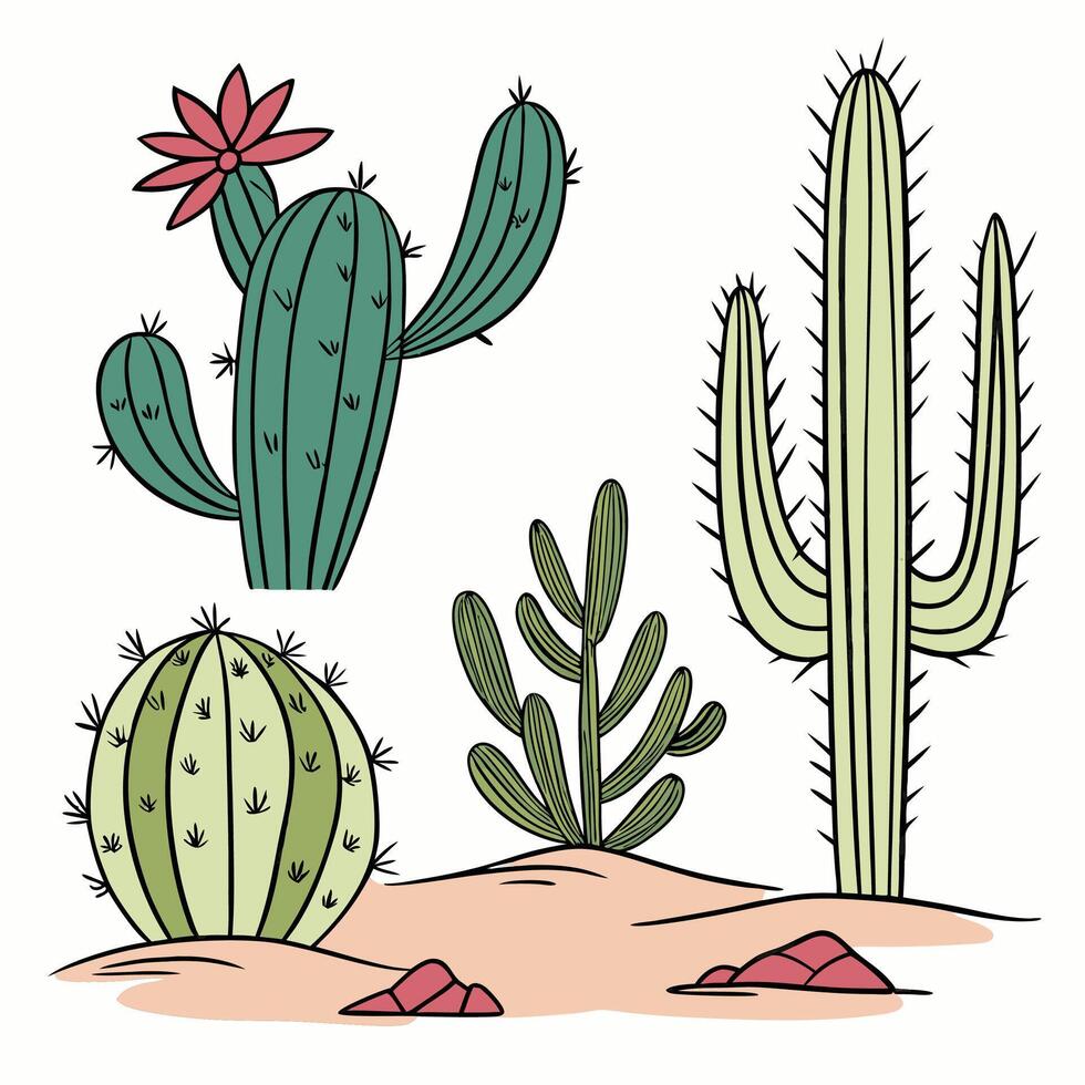 Hand Drawn Desert Cacti Illustration Blooming Prickly Pear, Saguaro. vector