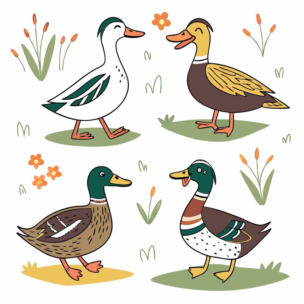 Cute Hand Drawn Ducks Farm Animals Illustration, Whimsical Style. vector
