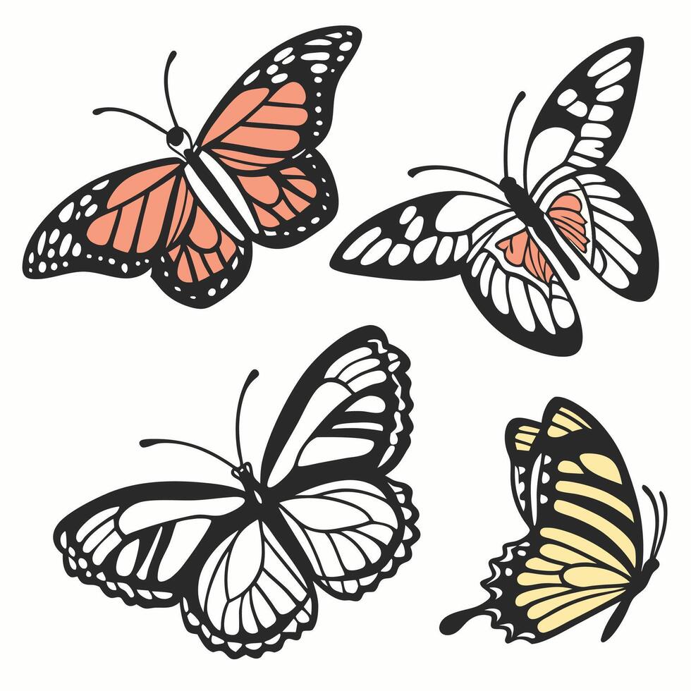 Professional Butterfly Illustrations 4 Designs, Pastel and Ink Styles. vector