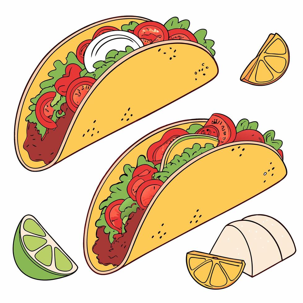 Two Tasty Tacos Hand Drawn Illustration, Vibrant Colors. vector