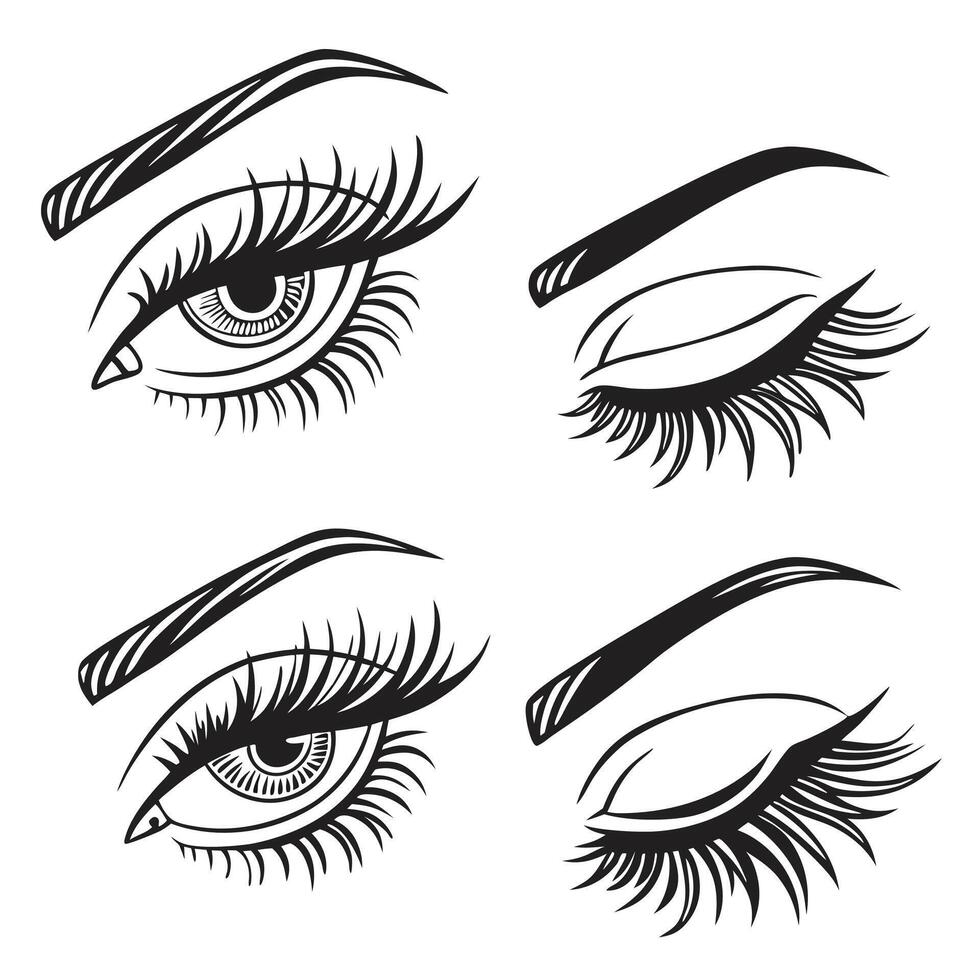 Professional Eye Illustrations Open and Closed Eyes, Detailed Eyelashes. vector
