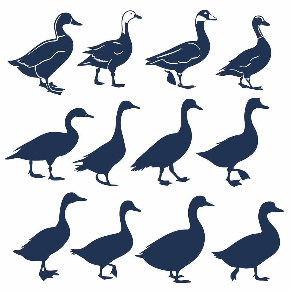Duck and Goose Silhouettes 12 Professional Illustrations Farm Animals. vector