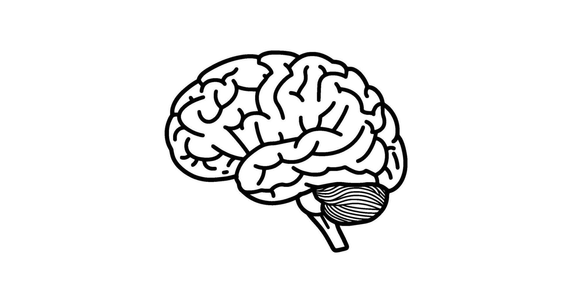 Line Art Human Brain Illustration vector
