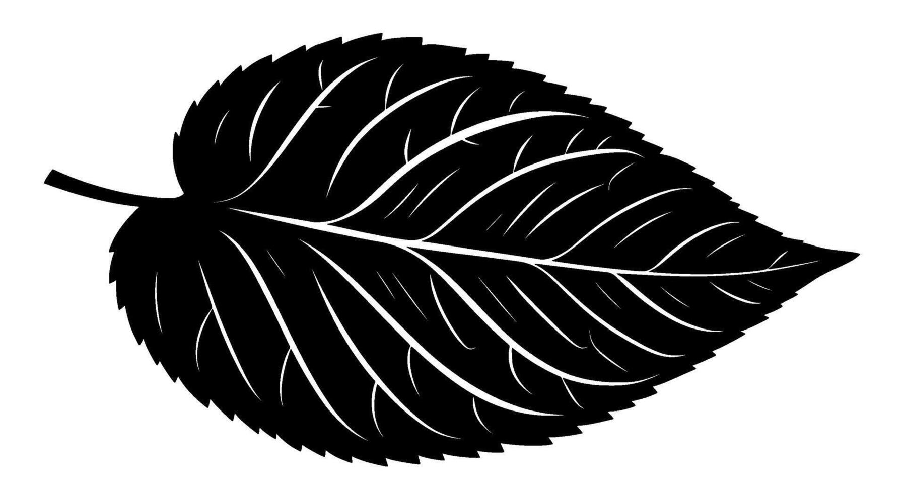 Monochromatic Leaf Silhouette Graphic vector