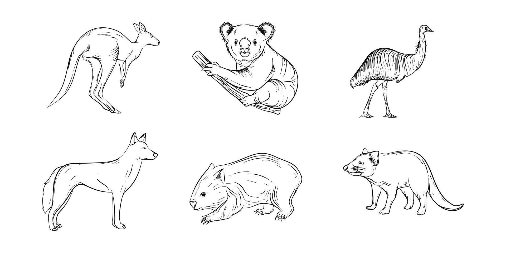 Australia animals hand drawn outline set illustration vector