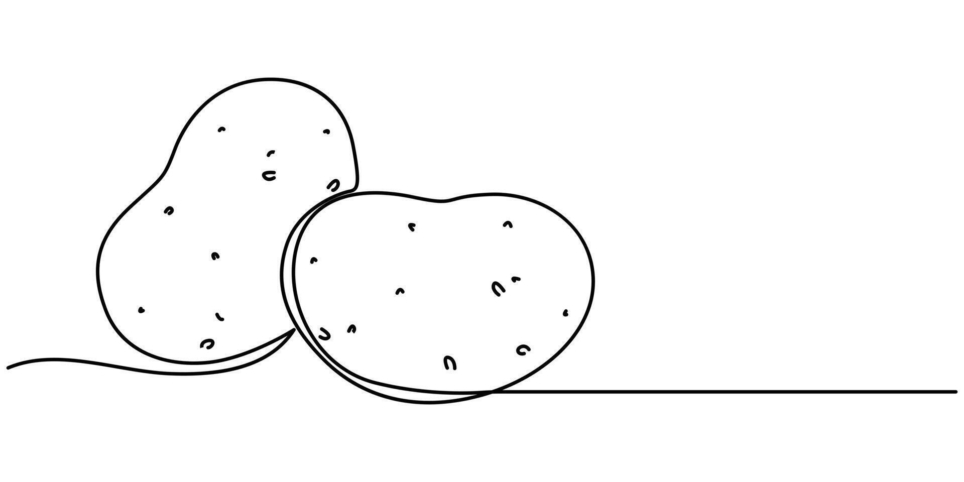 Continuous one line drawing healthy organic potatoes Fresh vegetable illustration concept vector