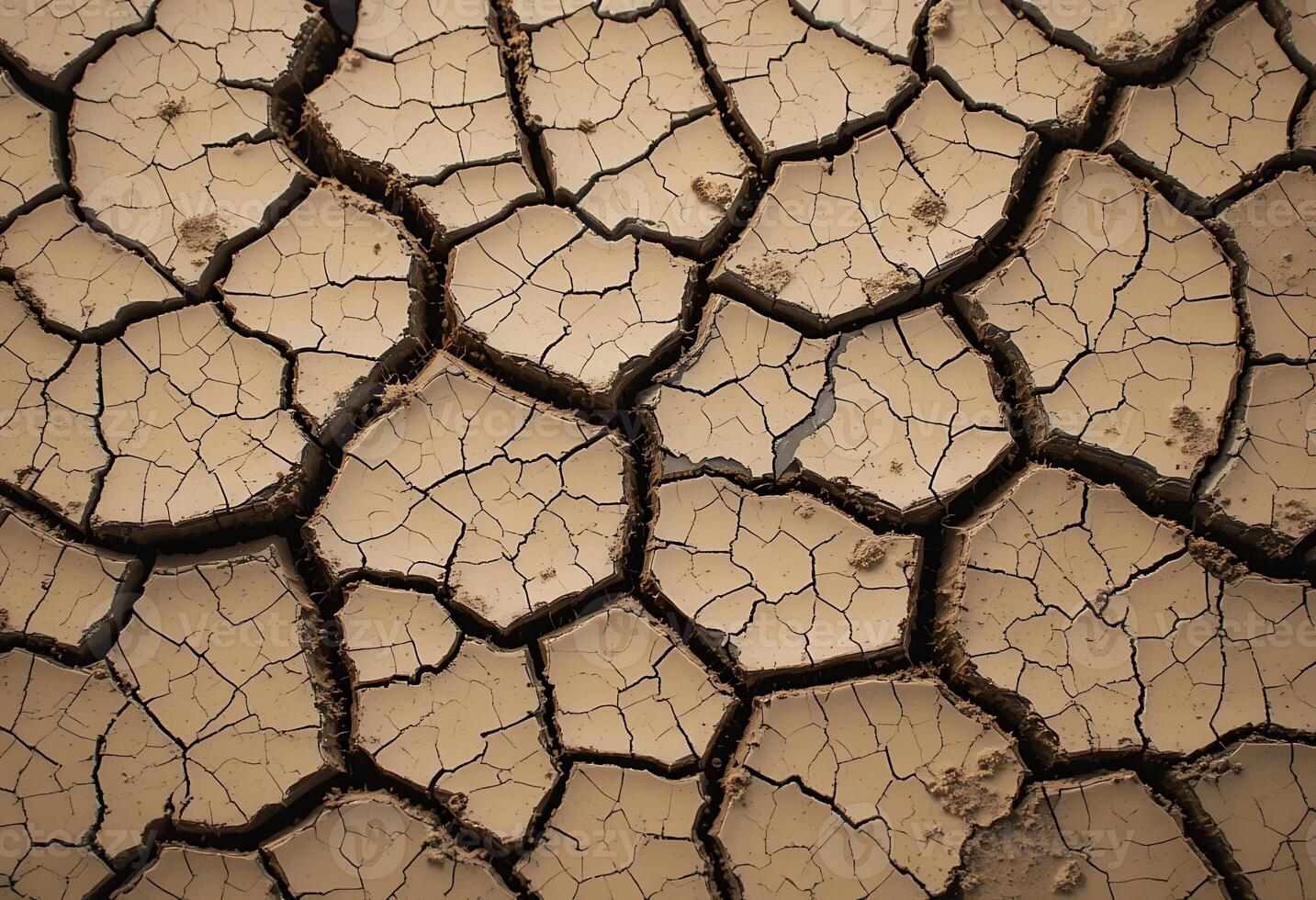 Parched Earth A Detailed View of Cracked Dry Soil Displaying a Pattern photo