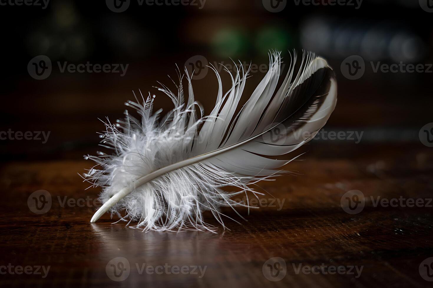 Delicate feather resting gracefully on aged wooden surface under subdued lighting photo