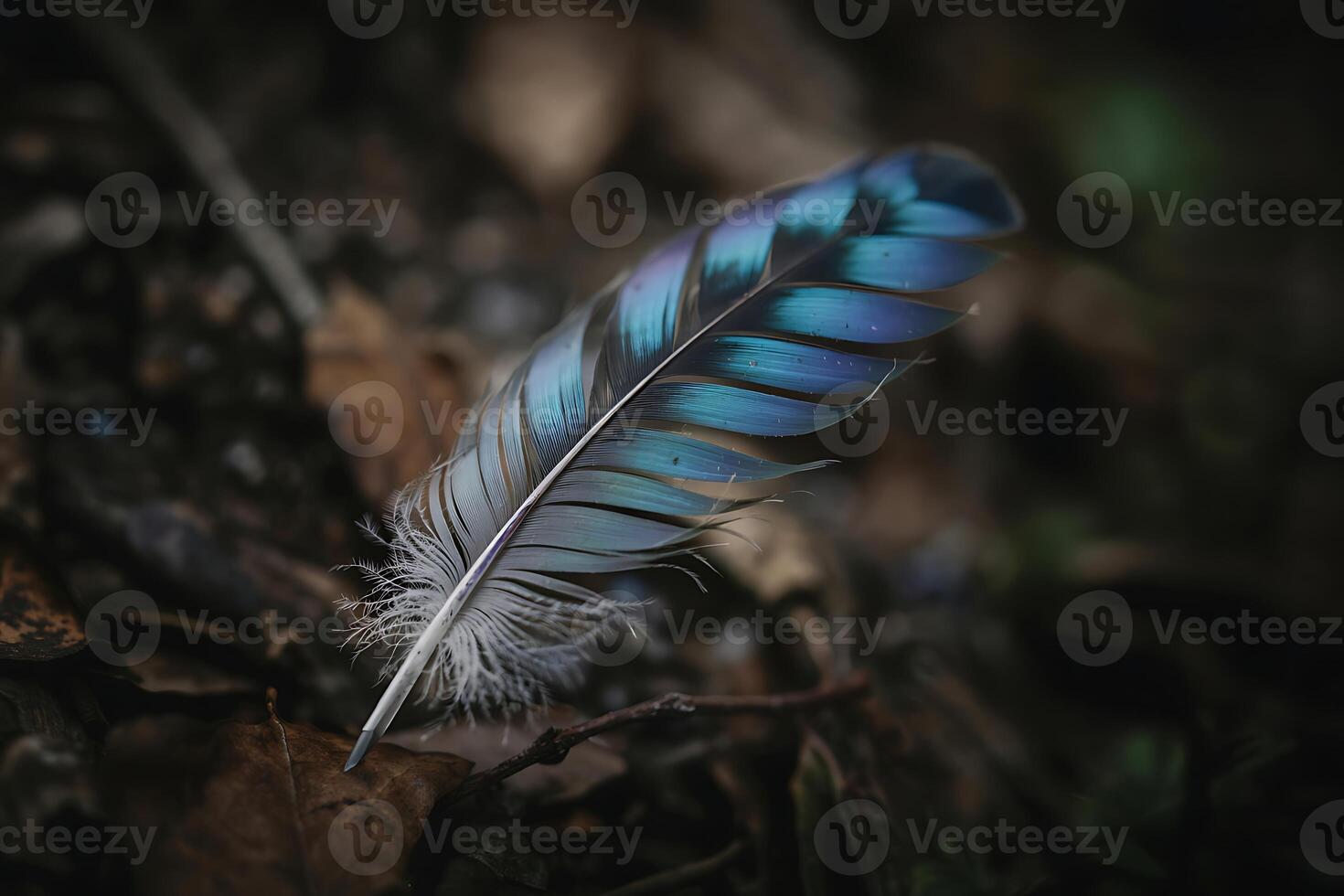 Iridescent Feather on Forest Floor, A Study in Contrasting Textures and Colors photo