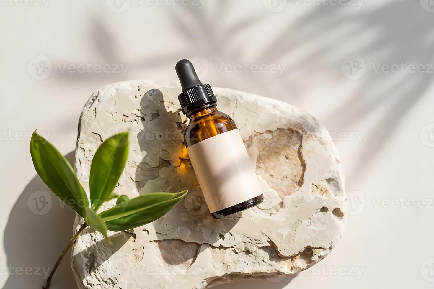 Botanical Elixir A Minimalist Still Life with Natural Elements and Organic Feel photo