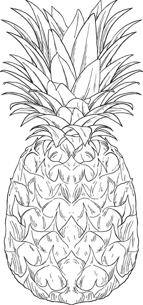 Hand-drawn pineapple sketch with detailed textures, great for tropical, food, or summer-themed designs. vector