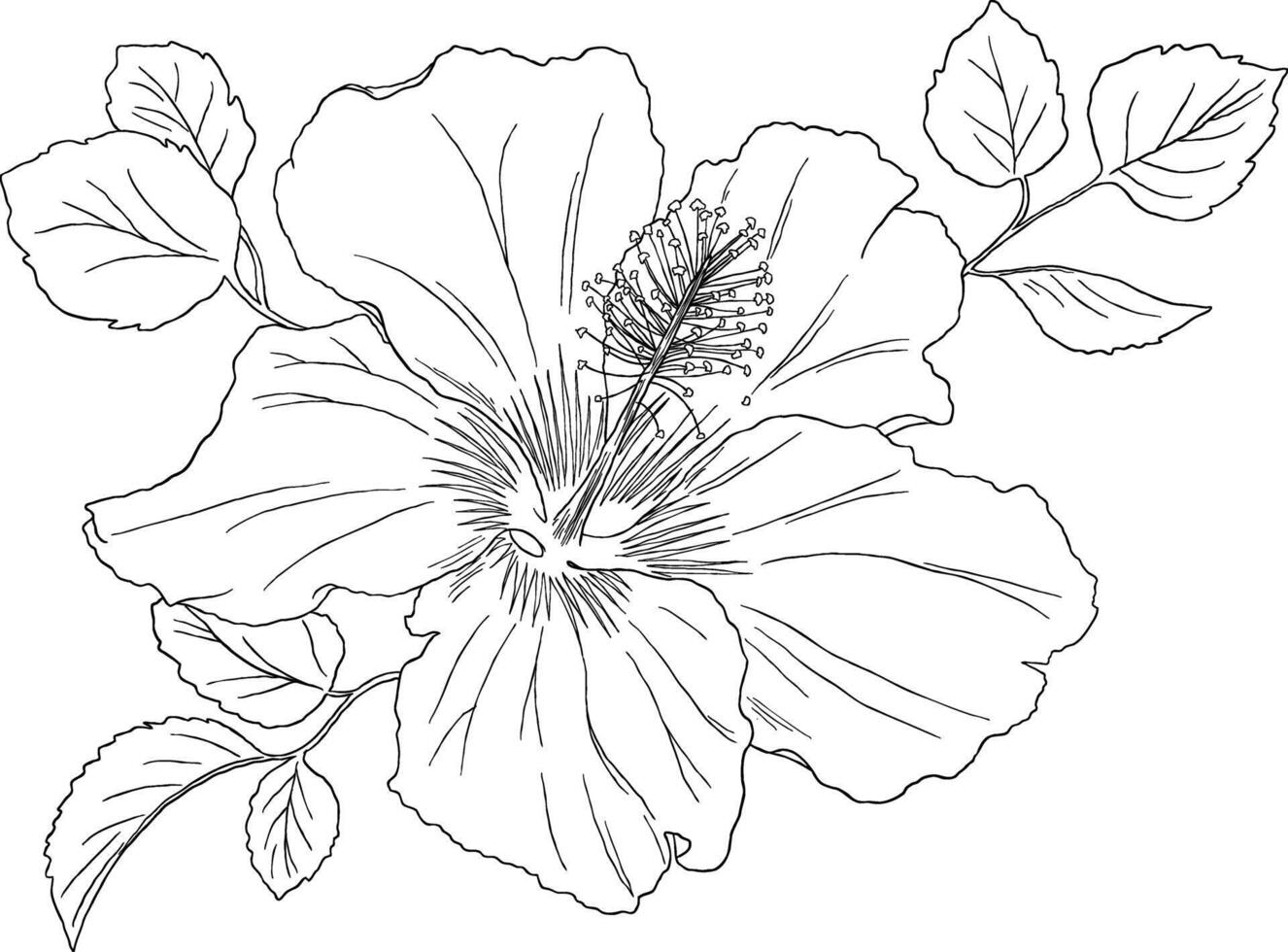 Hand-drawn hibiscus flower sketch, capturing the beauty of tropical blooms. Ideal for botanical, tropical, or spa designs. vector
