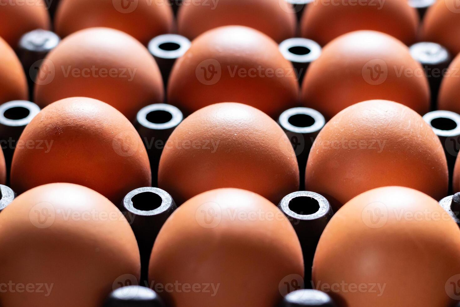 Close up chicken eggs in plastic tray and daylight photo