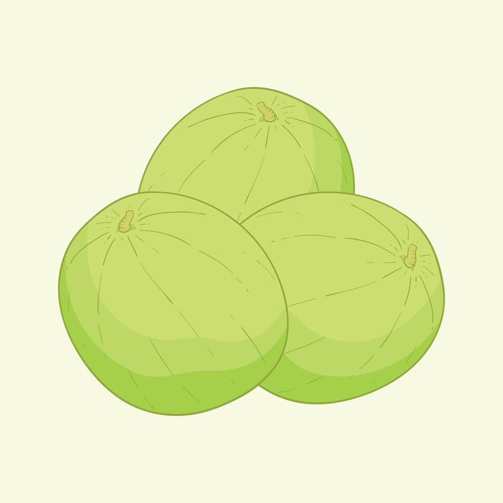 Honeydew Fruit Flat Design Cartoon Icon Illustration vector