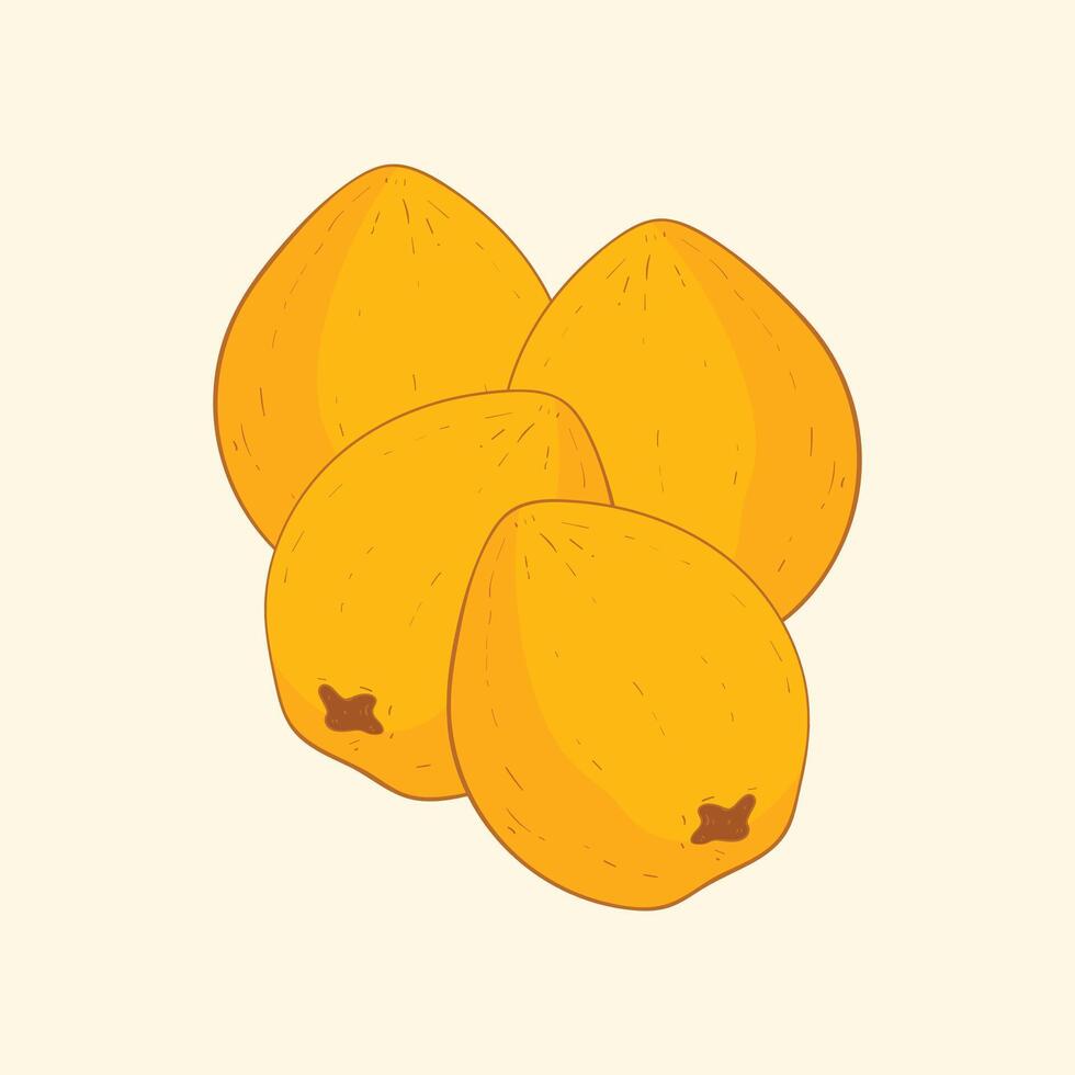 Loquat fruit flat design cartoon icon illustration vector