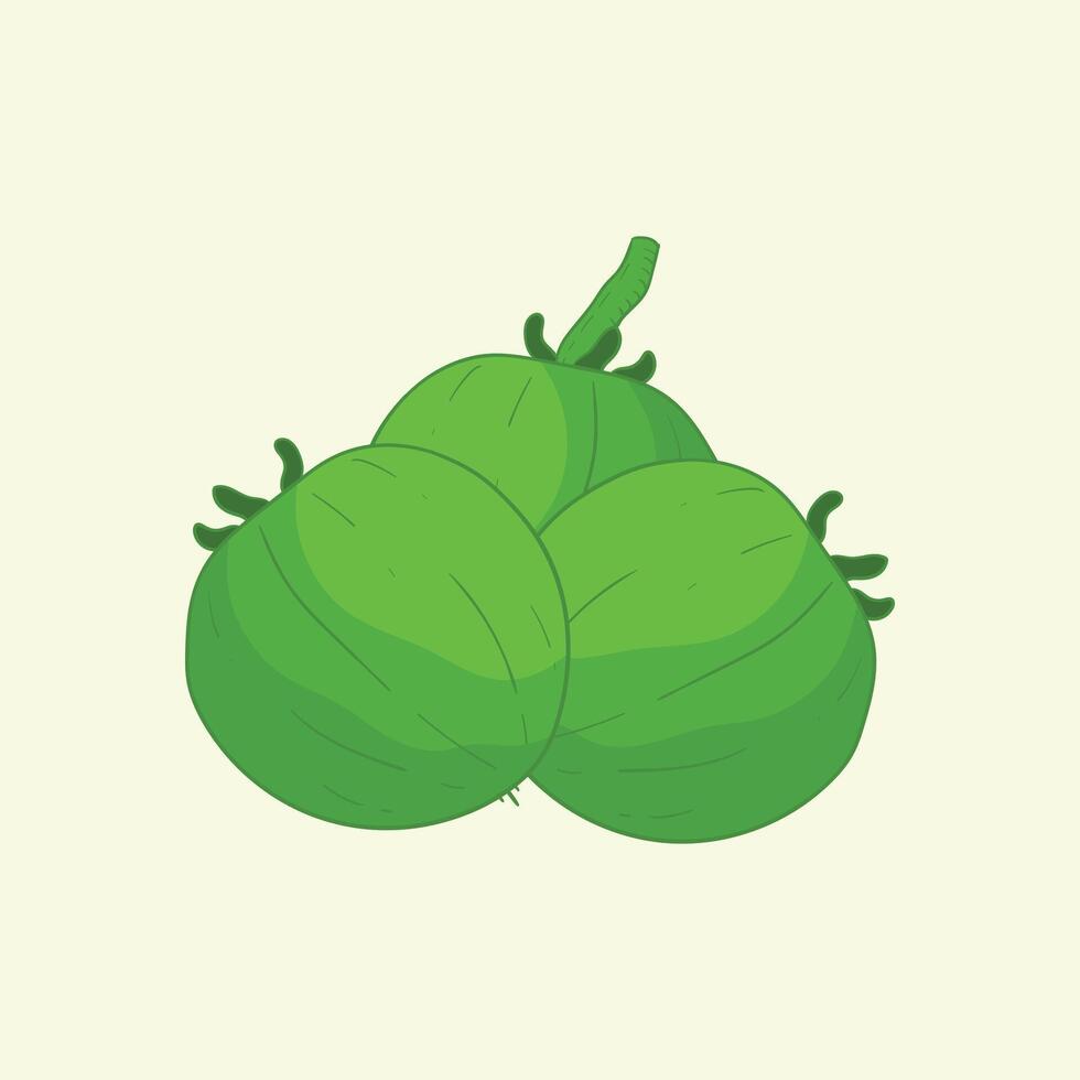 Jarak Fruit Flat Design Cartoon Icon Illustration vector