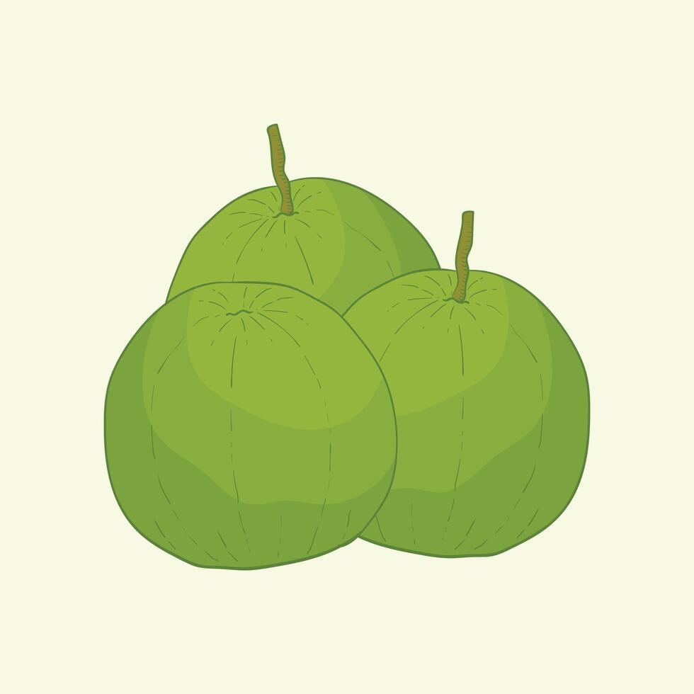 Guava Fruit Flat Design Cartoon Icon Illustration vector