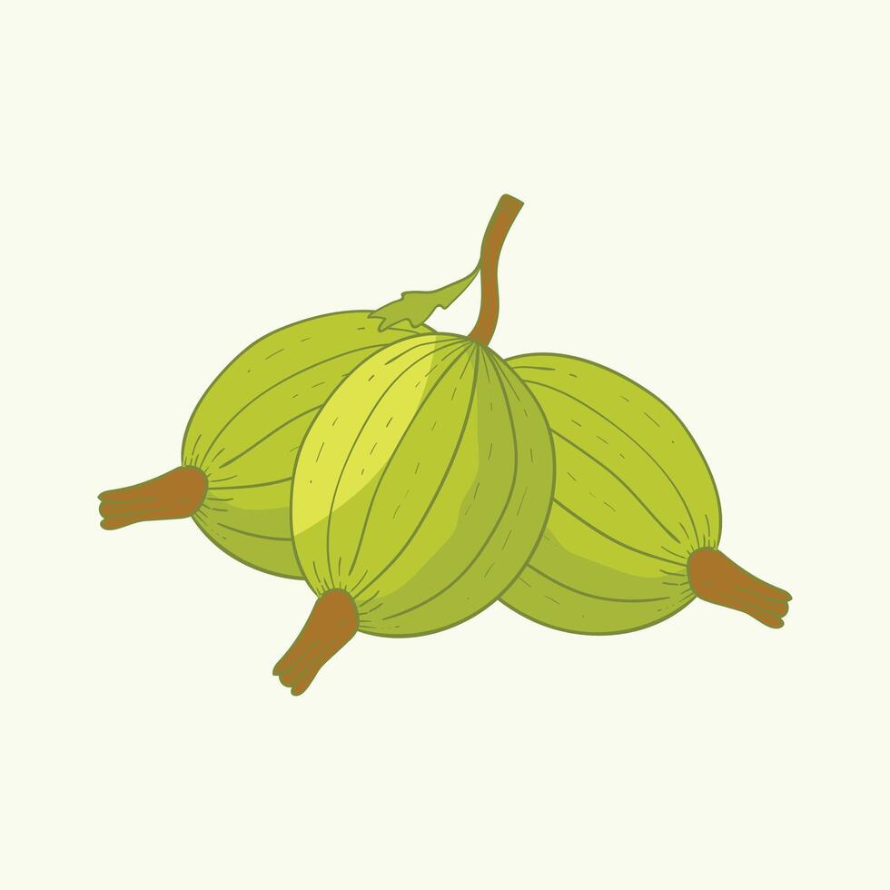 Gooseberry Fruit Flat Design Cartoon Icon Illustration vector