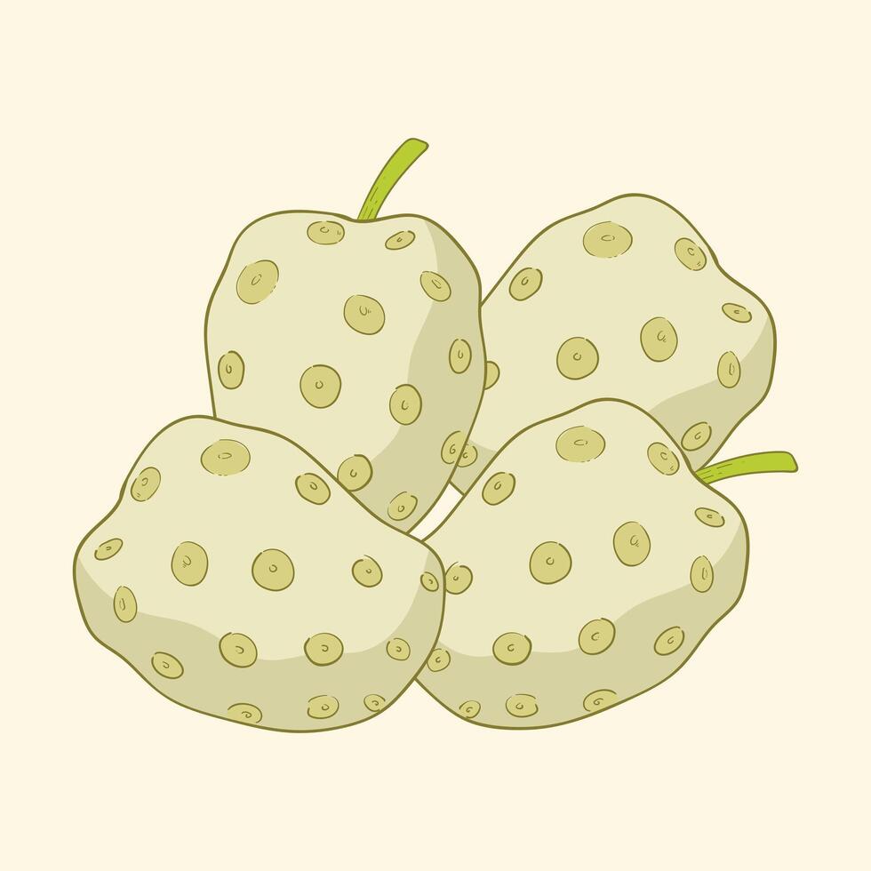 Noni fruit flat design cartoon icon illustration vector