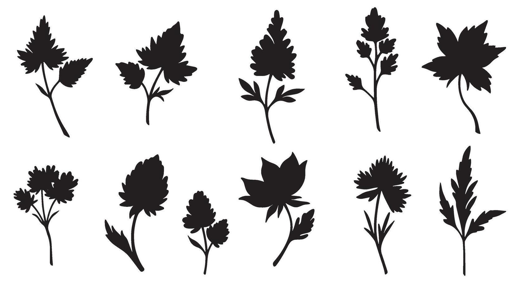 Botanical flower leave ornament pack in silhouette perfect for nature inspired decorative themes vector
